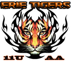 Erie Tigers