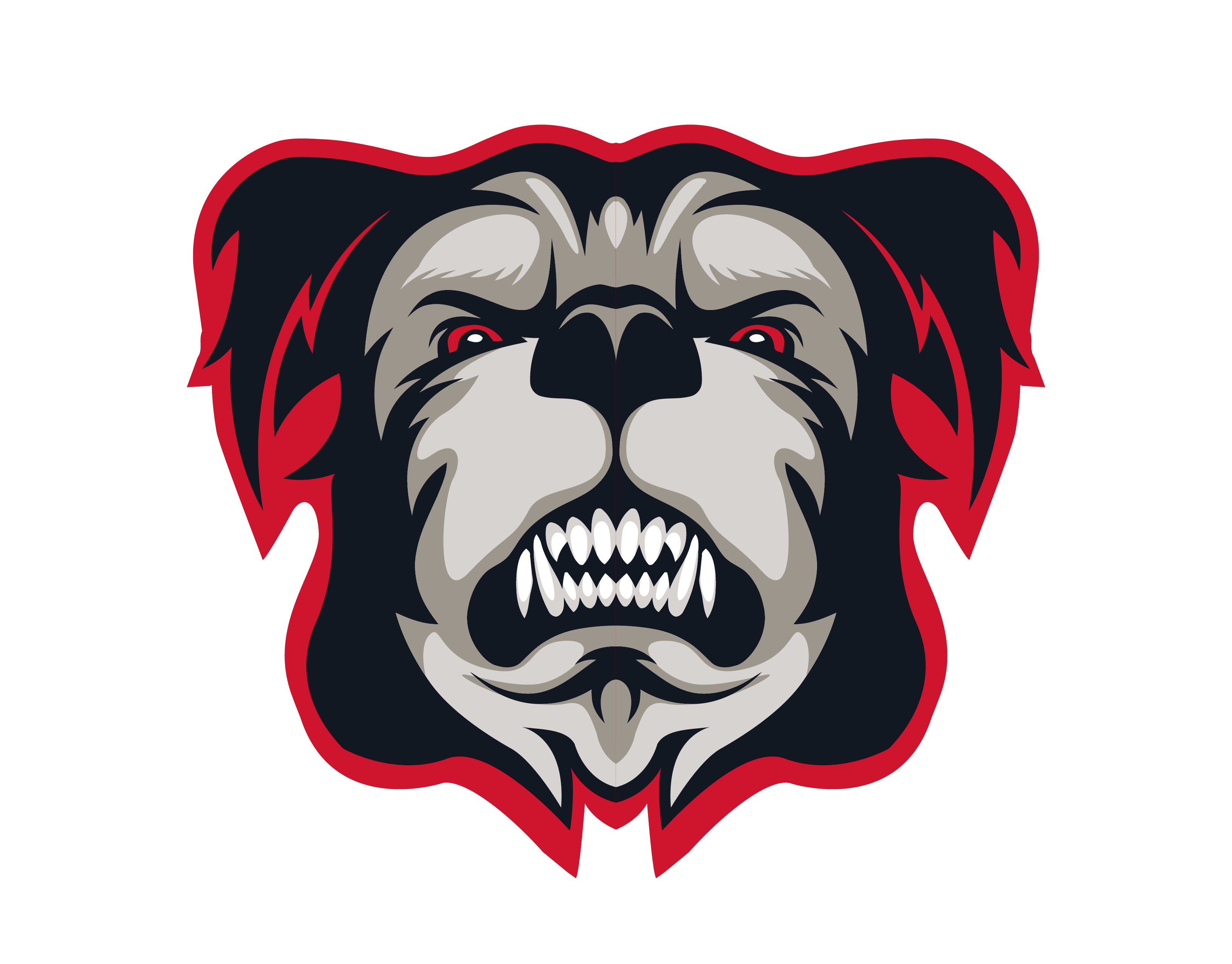 Mud Dogs Logo USSSA | USA Elite Select Team: North Augusta Mud Dogs